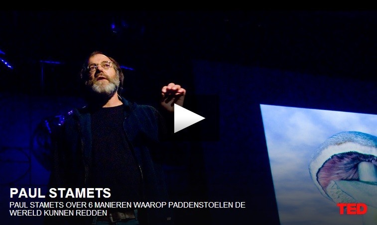 Ted Talk: Paul Stamets - Zes manieren waarop paddenstoelen de wereld kunnen redden