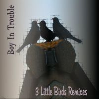 Boy In Trouble-3 Little Birds Remixes (EP)