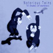 Notorious Twins - 13 shades of darkness