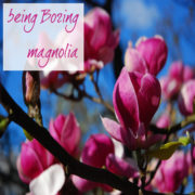 Being Boring - Magnolia