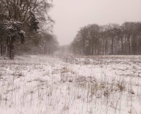 Zondagse wandeling op Monnikenberg in de sneeuw