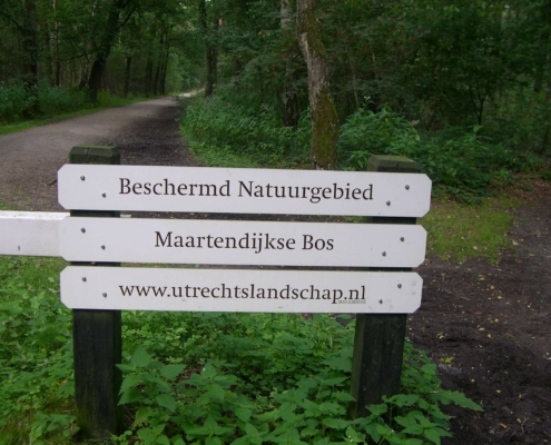 Smithuyserbos, De Zuid, Maartensdijkse Bos en Hilversums Wasmeer
