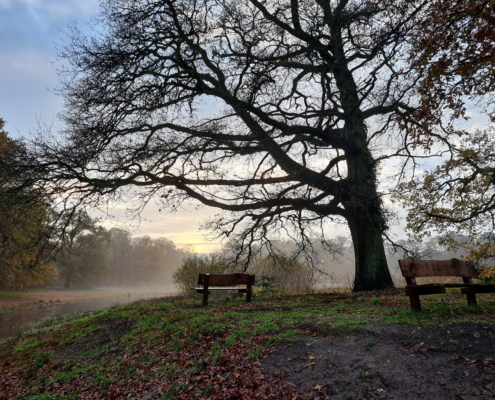 Silhouette Silhouette